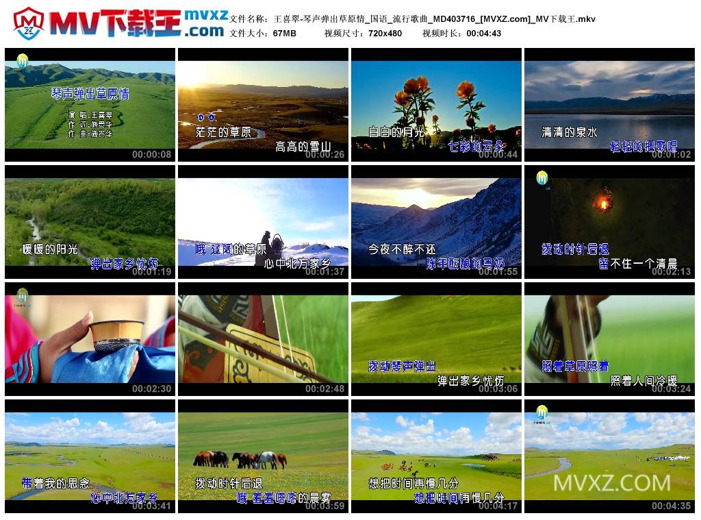 王喜翠-琴声弹出草原情_国语_流行歌曲_MD403716